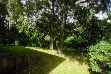 Garten Preissenkung Wohn- Gesch�ftshaus mit Apotheke und Arztpraxis f�r Kapitalanleger