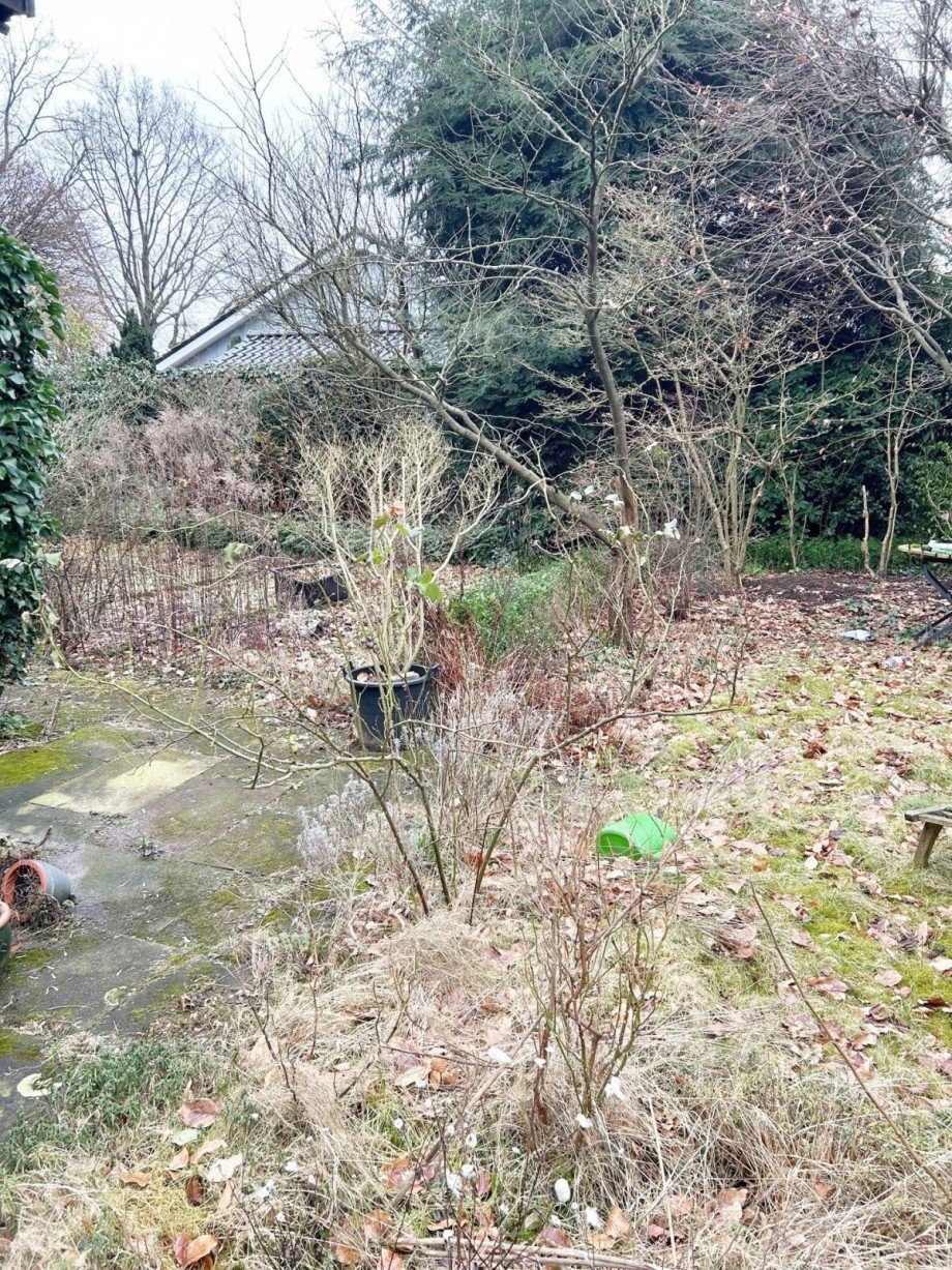 Ansicht Garten Einfamilienhaus Dorsten